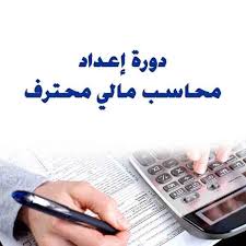 تحميل كورس المحاسب المالي المحترف PFA كامل مجانا